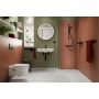 Hansgrohe Activera S 28041670 zestaw prysznicowy ścienny czarny zdj.5