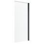 Radaway Nes Brushed GunMetal PNJ I 100110509201R parawan nawannowy 50 cm 1-częściowy szczotkowany/szkło przezroczyste zdj.1