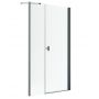 Radaway Nes Brushed GunMetal DWS I 100281309201R drzwi prysznicowe 130 cm uchylne szczotkowany/szkło przezroczyste zdj.1
