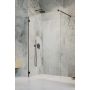 Radaway Essenza Pro Black Walk-In 101031155401 ścianka prysznicowa 115 cm czarny mat/szkło przezroczyste zdj.1